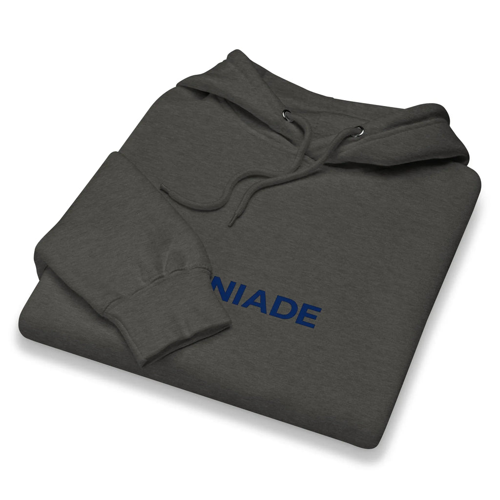 Hoodie Uomo Premium | Berniade - berniade